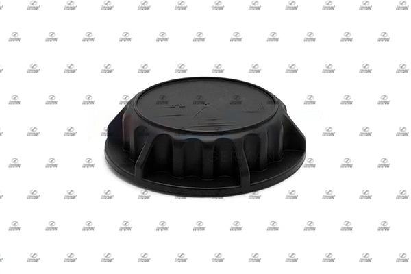 Cap, coolant tank (VLT17.00200)