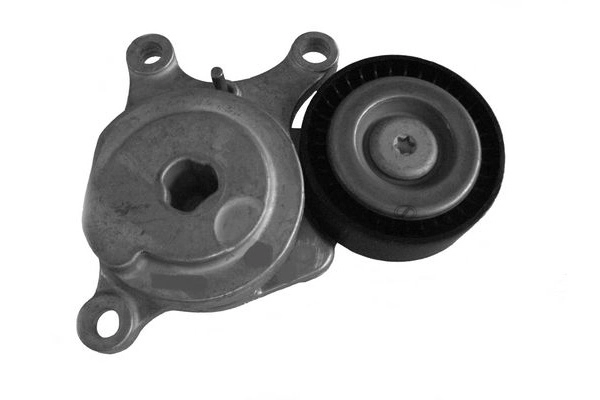 Belt Tensioner, V-ribbed belt (BZS24.00202)
