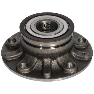 Wheel Bearing Kit (VAS66.00096)