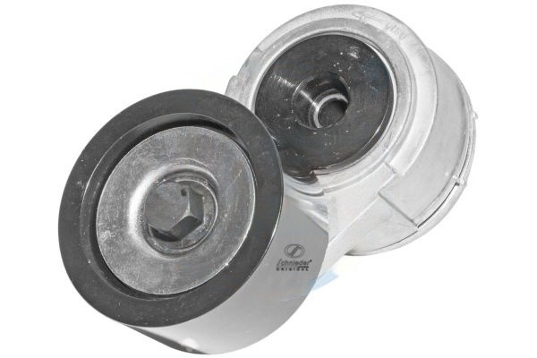 Belt Tensioner, V-ribbed belt (BZT24.00081)