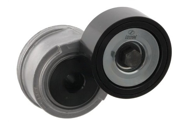 Belt Tensioner, V-ribbed belt (BZT24.00064)