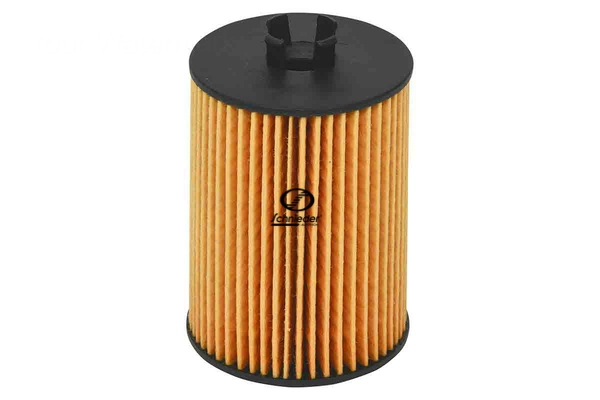 Oil Filter (BZS99.00309)
