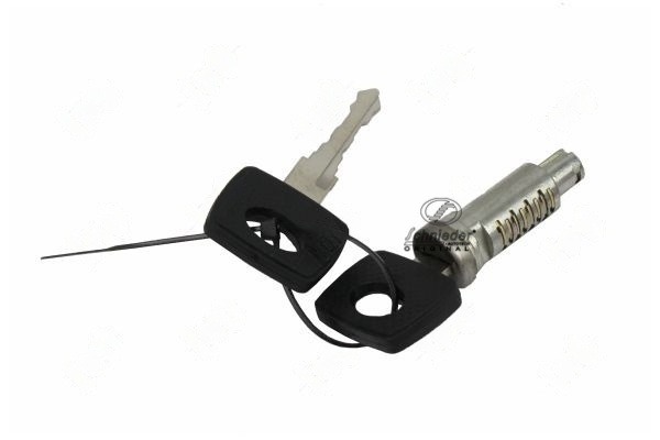 Lock Cylinder (BZT29.00047)