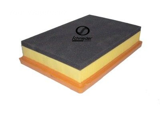Air Filter (BMS99.00183)