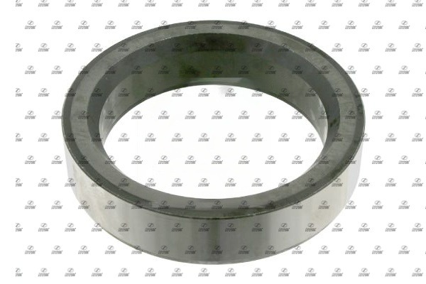 Ring, wheel hub (BZT25.00026)