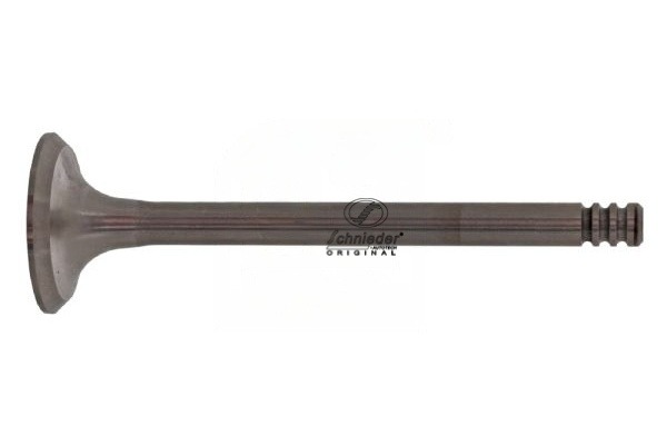 Exhaust Valve (VAS17.00182)