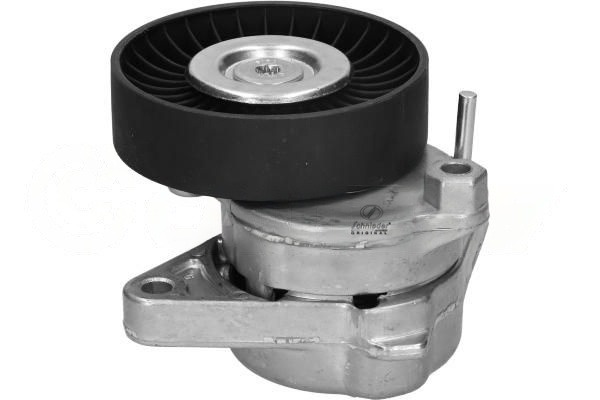 Belt Tensioner, V-ribbed belt (BZS24.00073)