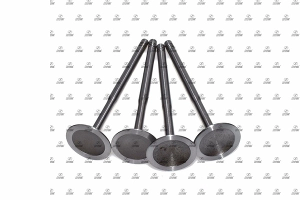 Coolant Flange (VAS17.00250)