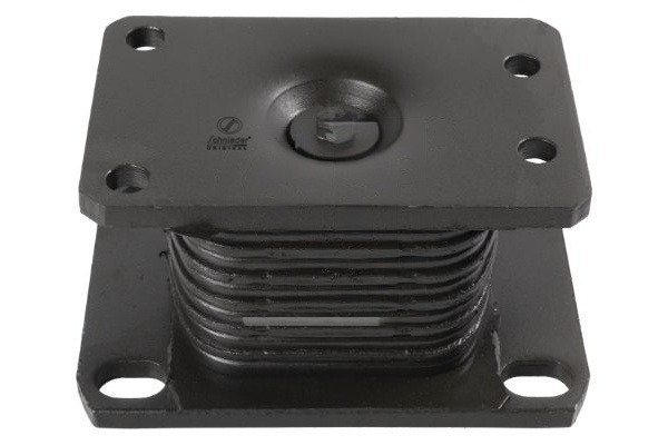Bush, parabolic spring (BZT35.00048)