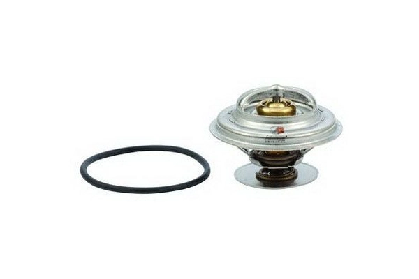 Thermostat Housing (BZS77.00009)