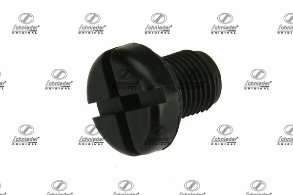 Screw Plug, coolant line (BMS17.00254)