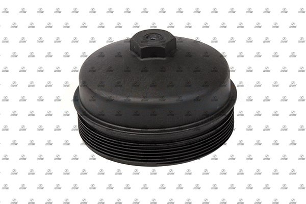 Cap, oil filter housing (BZT17.00150)