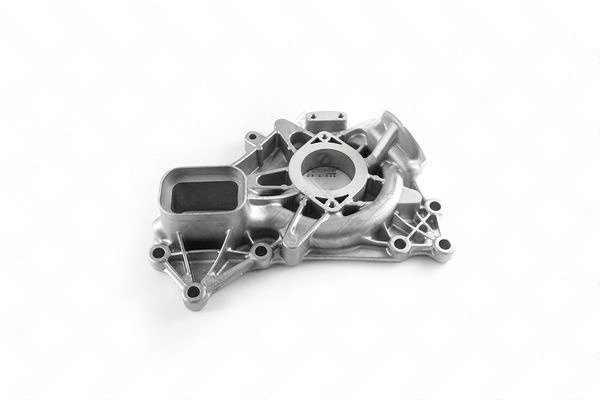 Housing, water pump (VLT15.00026)