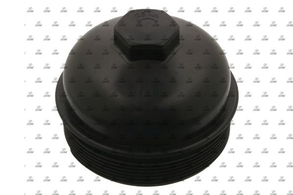 Cover, fuel filter (BZT17.00146)
