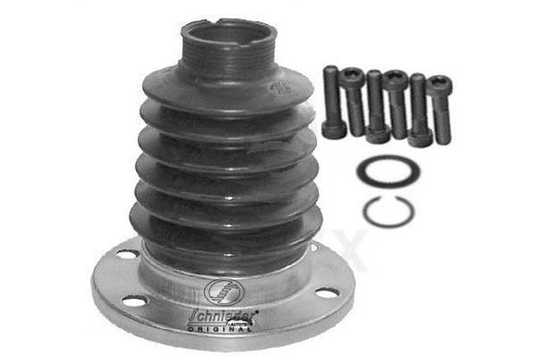 Radiator Hose (VAS19.00311)