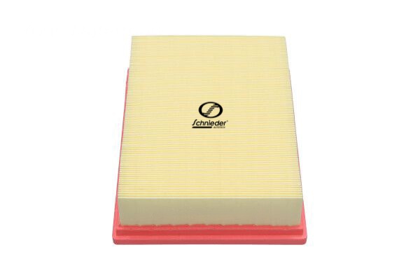 Air Filter (BZS99.00252)