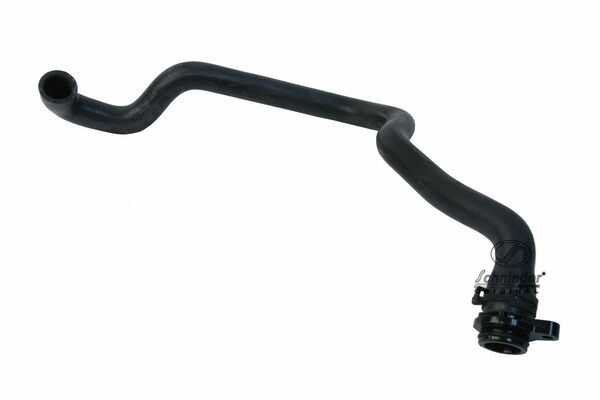 Radiator Hose (BMS19.00531)