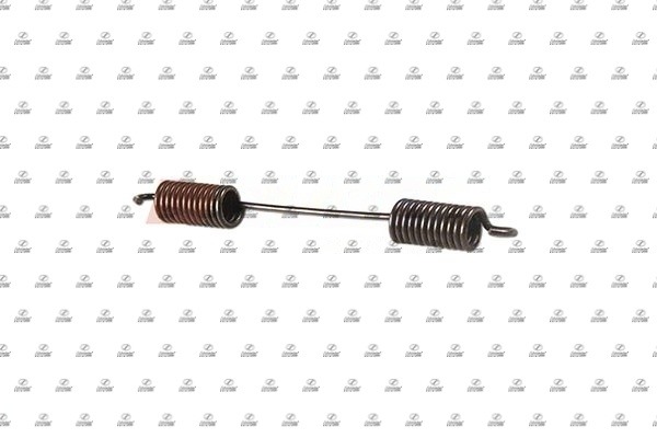 Spring, brake shoes (BZT31.00036)