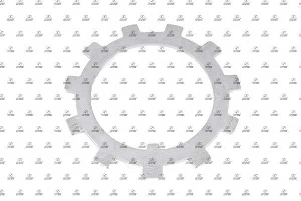 Tab Washer, axle nut (VLT17.00078)