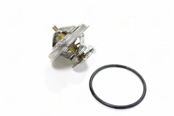 Thermostat Housing (BMS77.00028)