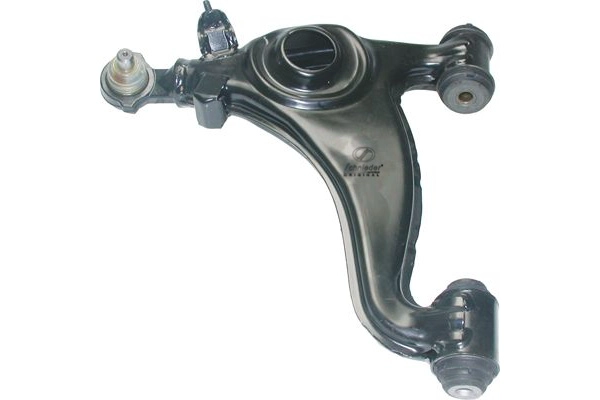 Repair Kit, control arm (BZS22.00375)