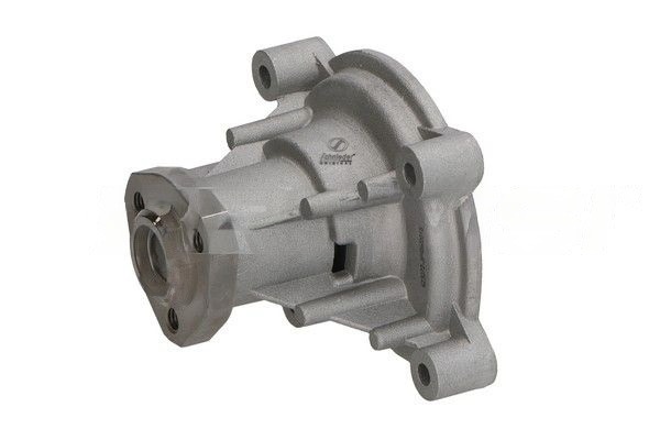 Water Pump, engine cooling (VAS15.00201)