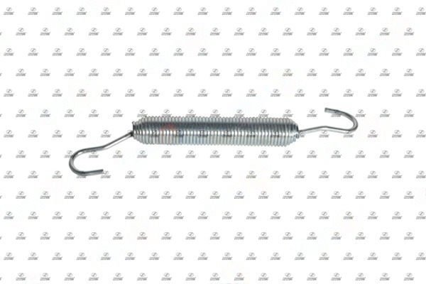 Spring, adjuster (BPT31.00040)