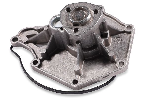 Water Pump, engine cooling (VAS15.00161)