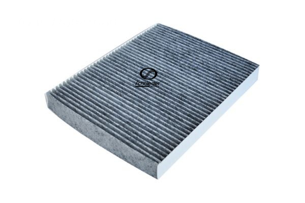 Air Filter (VAS99.00081)
