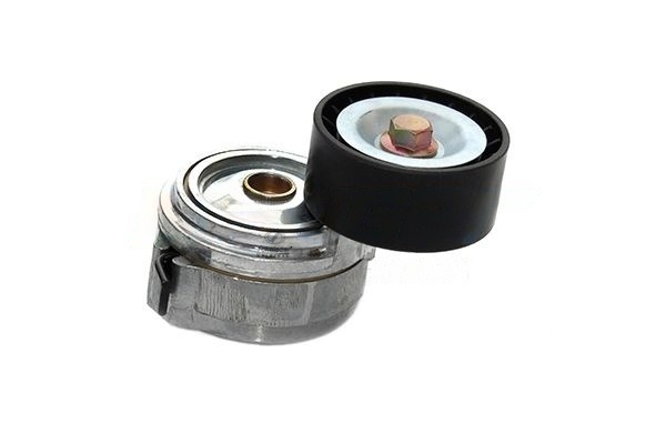 Belt Tensioner, V-ribbed belt (MNT24.00025)