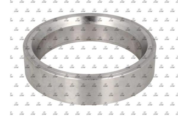 Ring, wheel hub (BZT25.00025)