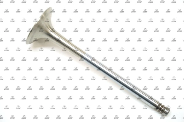 Exhaust Valve (VAS17.00249)