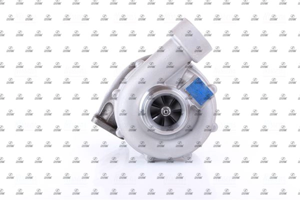 Charger, charging (supercharged/turbocharged) (BZT17.00262)