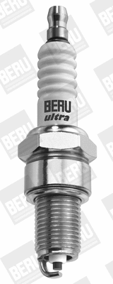 Spark Plug (Z21)