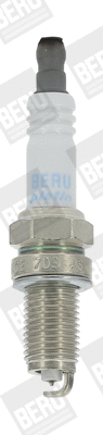 Spark Plug