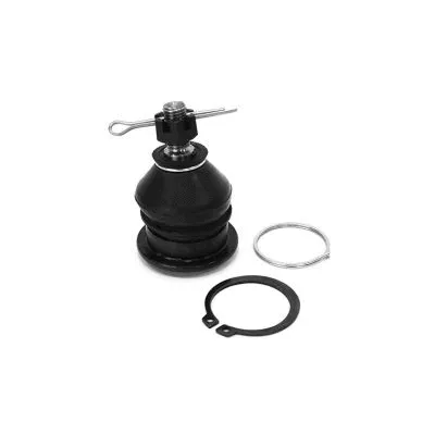 Ball Joint (1009005IT)