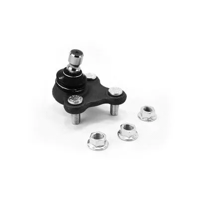 Ball Joint (1005003)