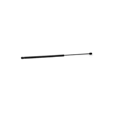 Gas Spring, boot/cargo area (16304)