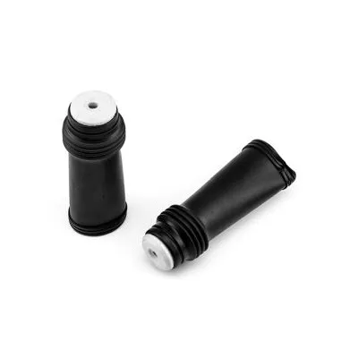 Dust Cover Kit, shock absorber (2506038)