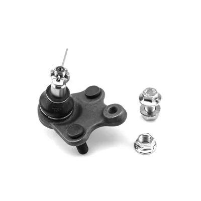Ball Joint (1009013)