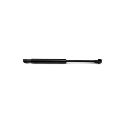 Gas Spring, boot/cargo area (16018)