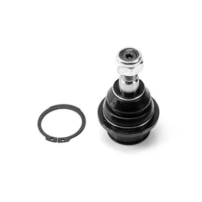 Ball Joint (1008016)