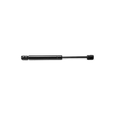Gas Spring, boot/cargo area (16078)