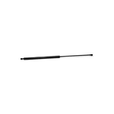 Gas Spring, boot/cargo area (16901)