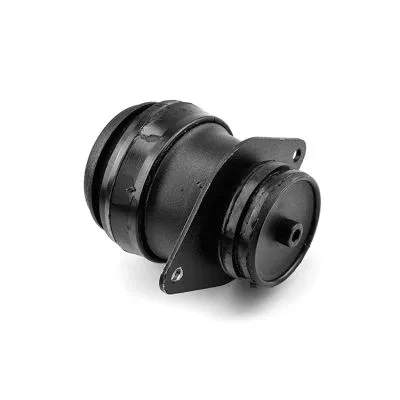 Mounting, engine (2926020)