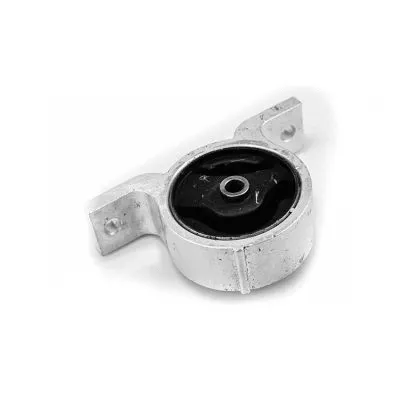 Mounting, engine (2916114)