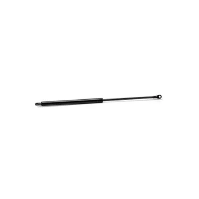 Gas Spring, boot/cargo area (16377)