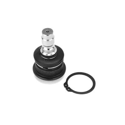 Ball Joint (1007004)