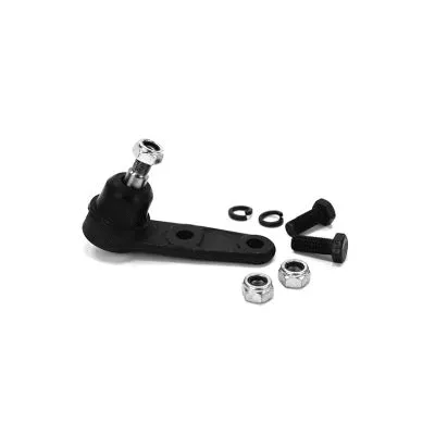 Ball Joint (1003008IT)