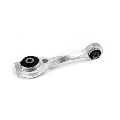 Mounting, engine (2919008)
